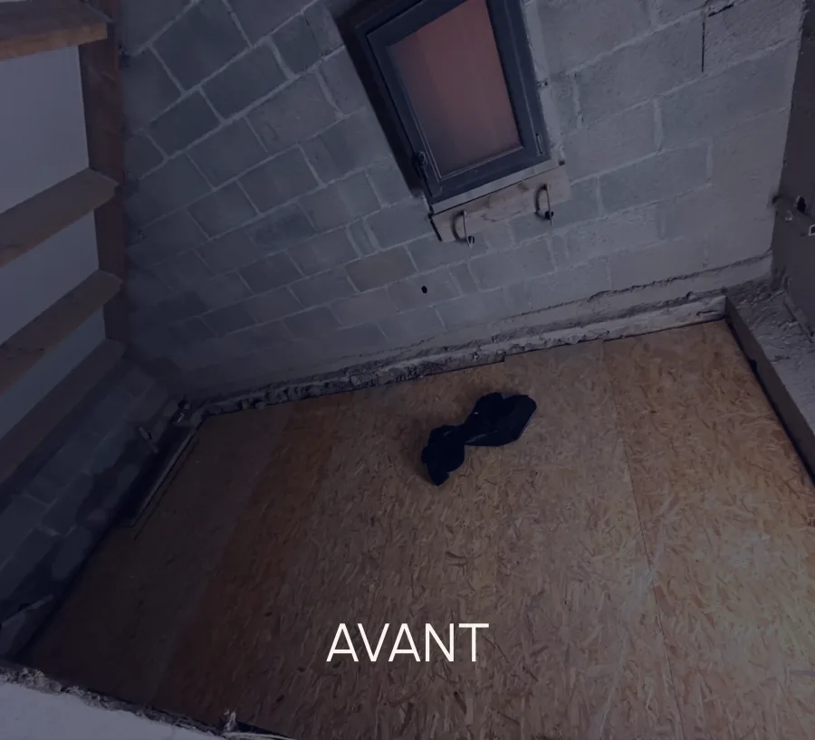 Avant travaux 2 - SALLE D'EAU SOUS RAMPANTS